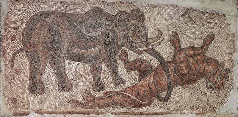 The Syrian Elephant
