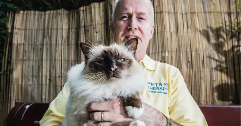 The Therapeutic Ragdoll