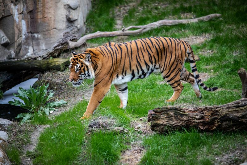 The Threat of Extinction