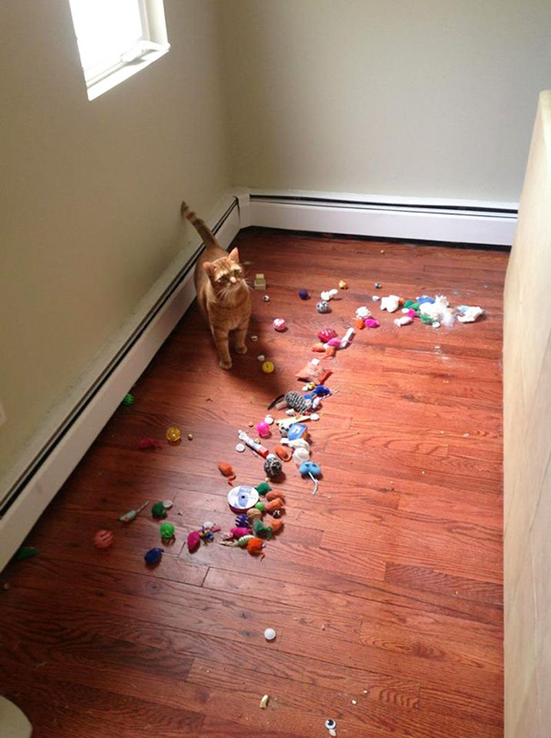 The Toy Hoarder