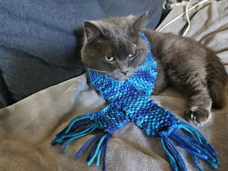 The Unexpected Fashionista