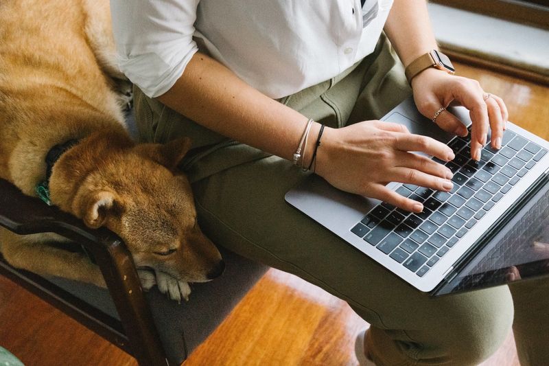 The Workaholic