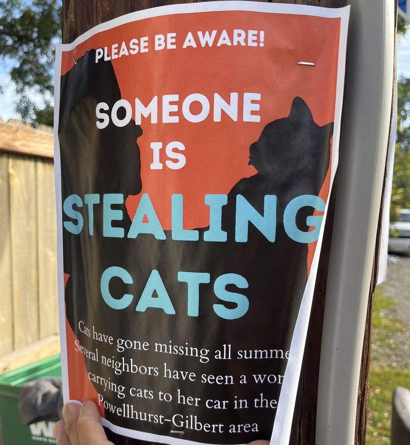 Theft or Abduction