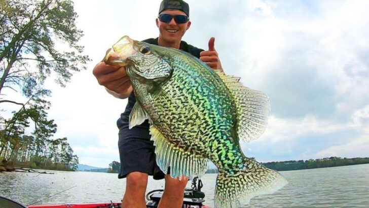 These 12 U.S. Lakes Are Home to Massive Fish You Wouldn’t Expect