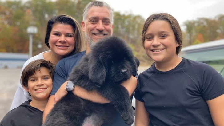 These 13 “Loyal” Dogs Often Pick One Person and Ignore the Rest (These 7 Love the Whole Family)