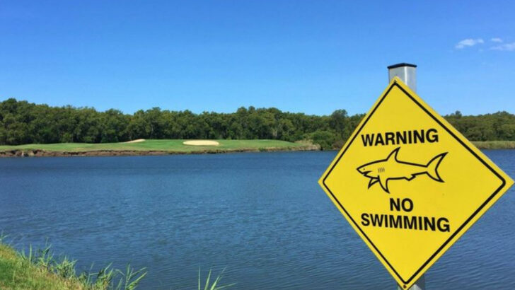 These Are the Only Lakes on Earth With Sharks in Them