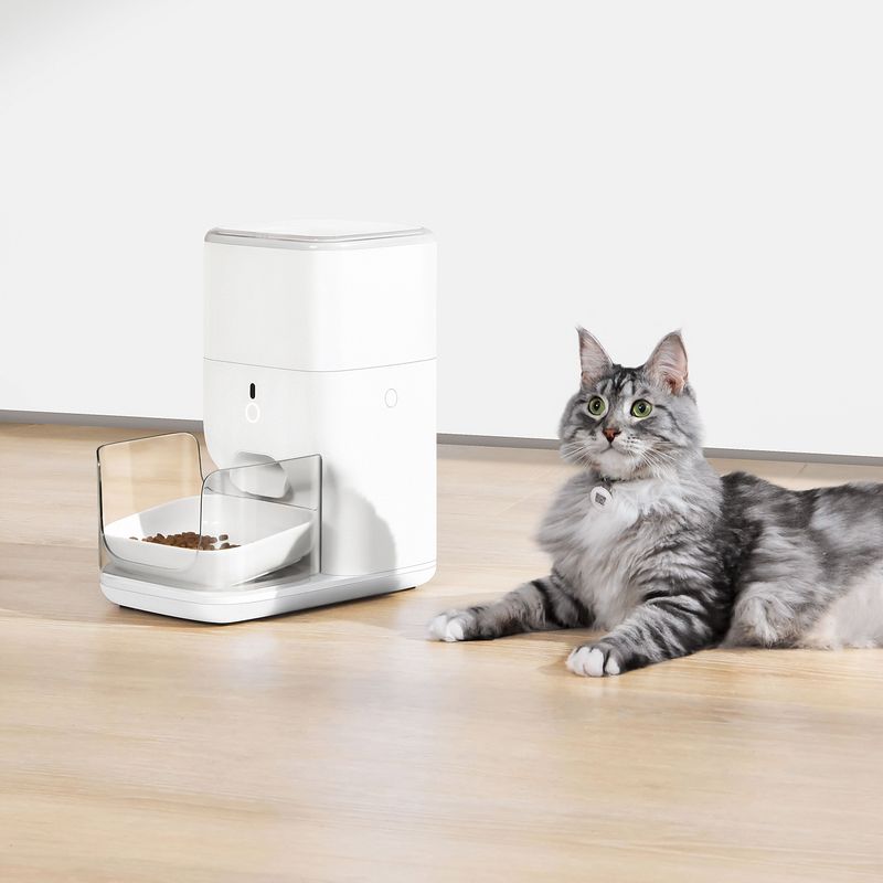 Time-Release Treat Dispensers