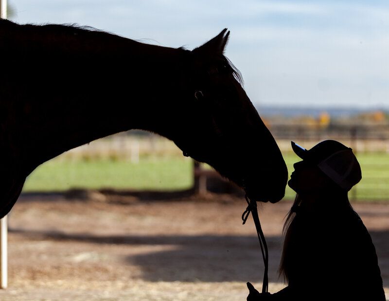 Timeless Companionship