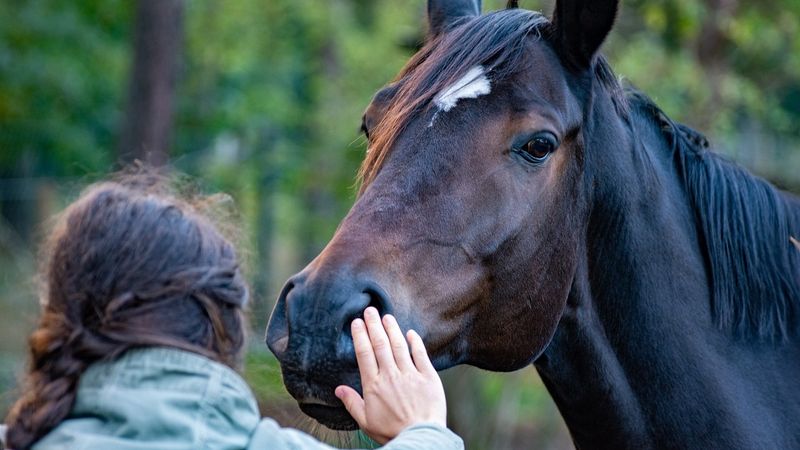 Timeless Companionship