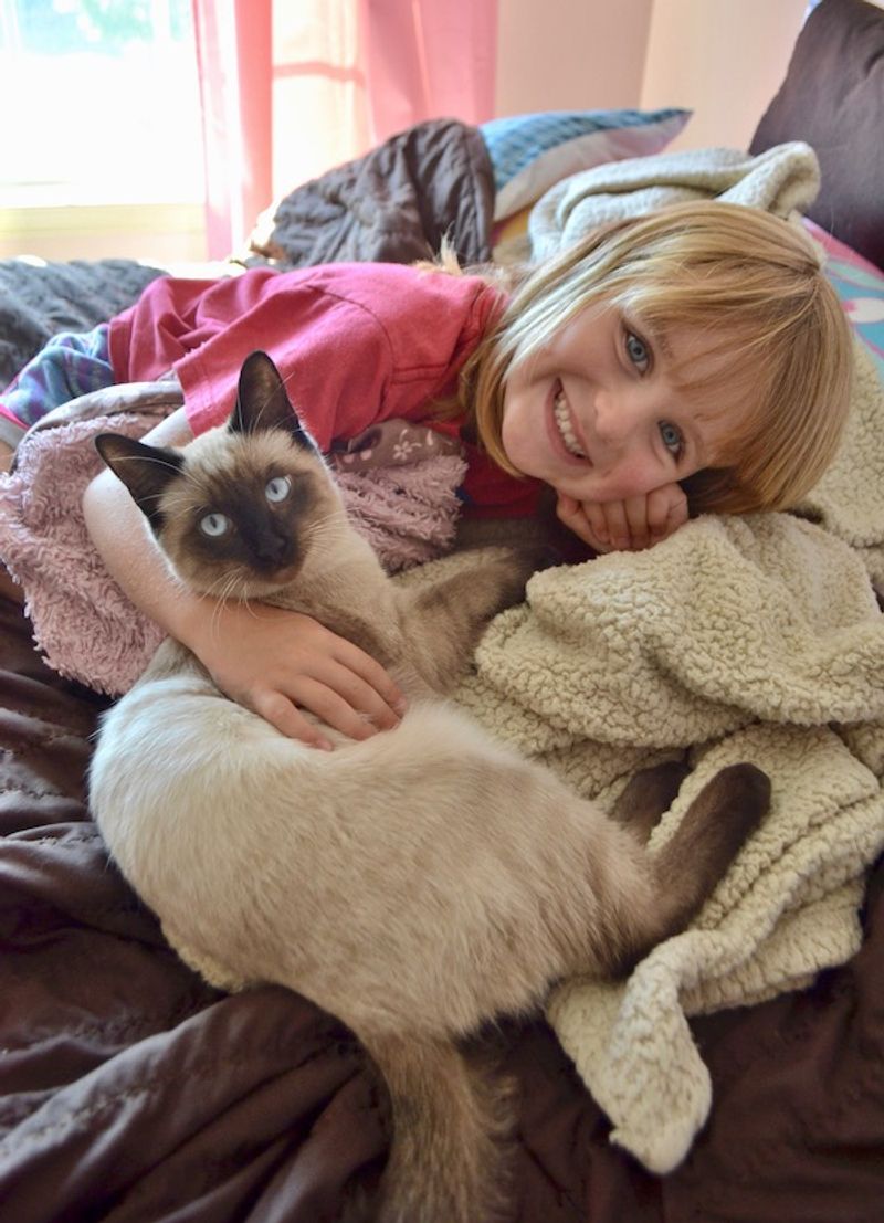 Tonkinese
