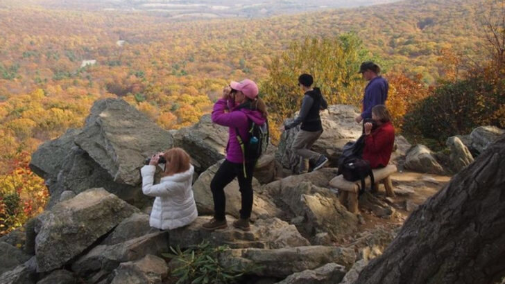 Top 15 Places for Bird-Watching Along the East Coast