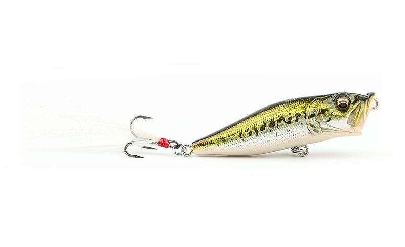 Topwater Popper