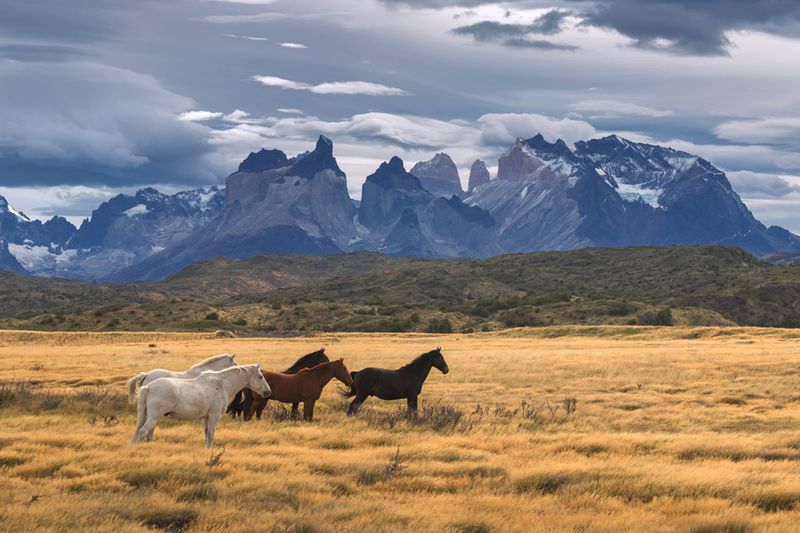 Torres del Paine National Park, Chile