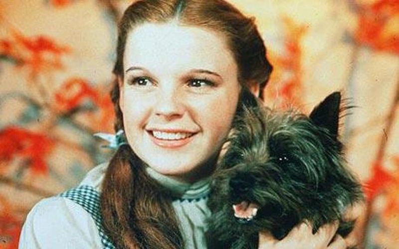 Toto