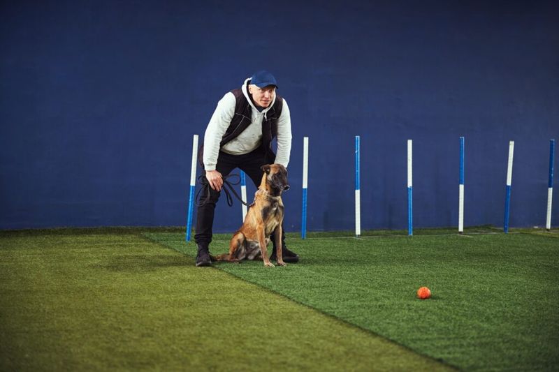 Training Basics
