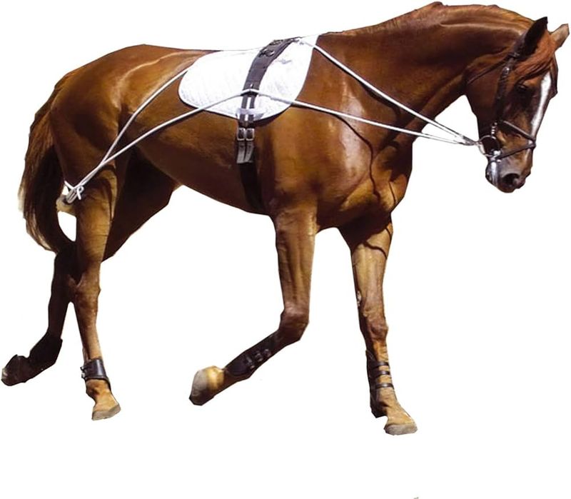 Training Equipment