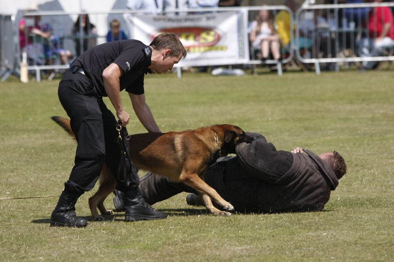 Training Intensity