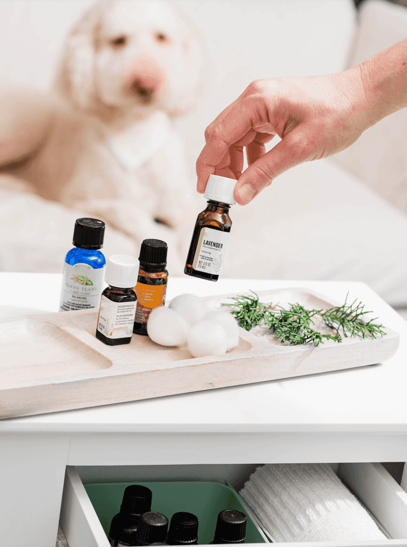 Try Aromatherapy