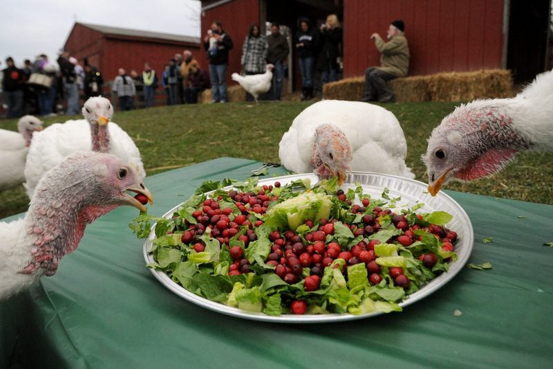Turkey