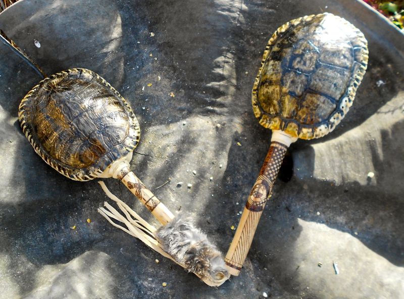 Turtle Shells: Musical Instruments