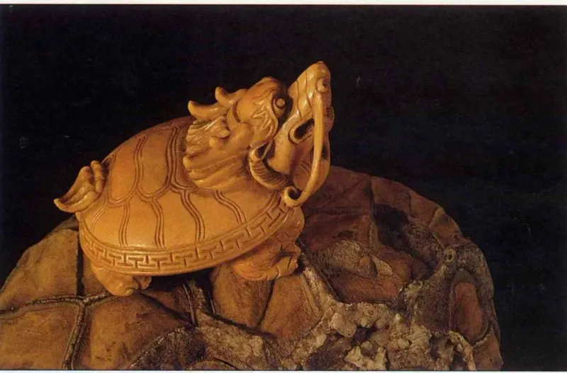 Turtles Have Cultural Significance