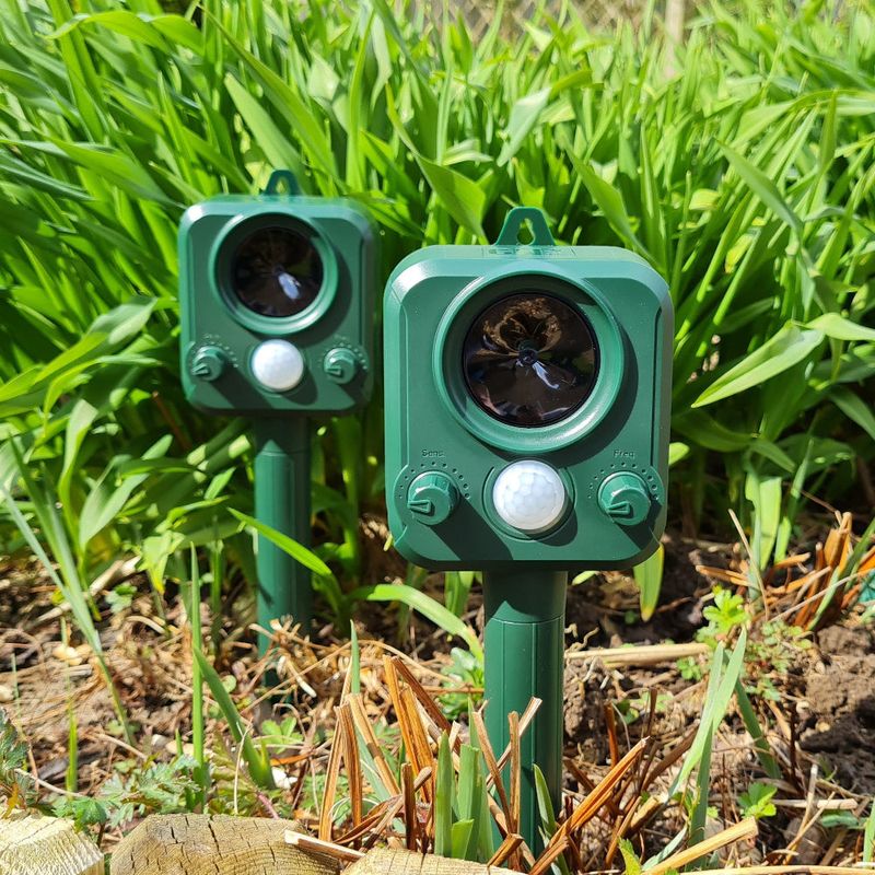 Ultrasonic Devices