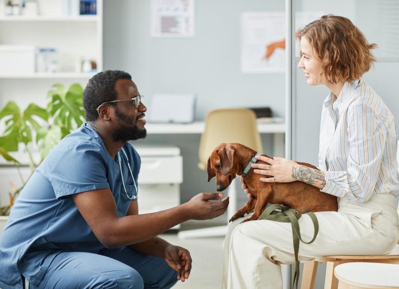 Understand Your Dog's Nutritional Needs