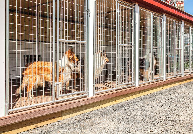 Understand the Facility's Emergency Protocols