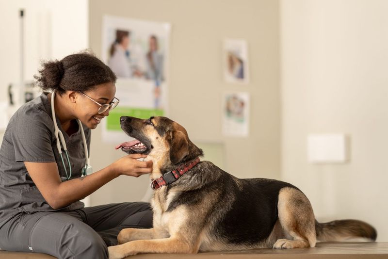 Understanding Breed-Specific Needs