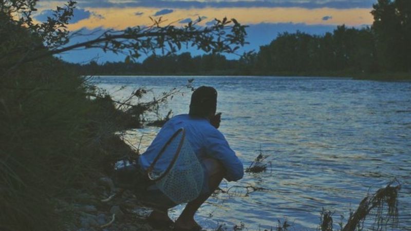Understanding Fish Behavior