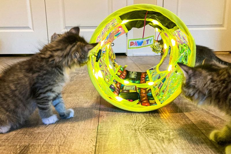 Understanding Object Permanence