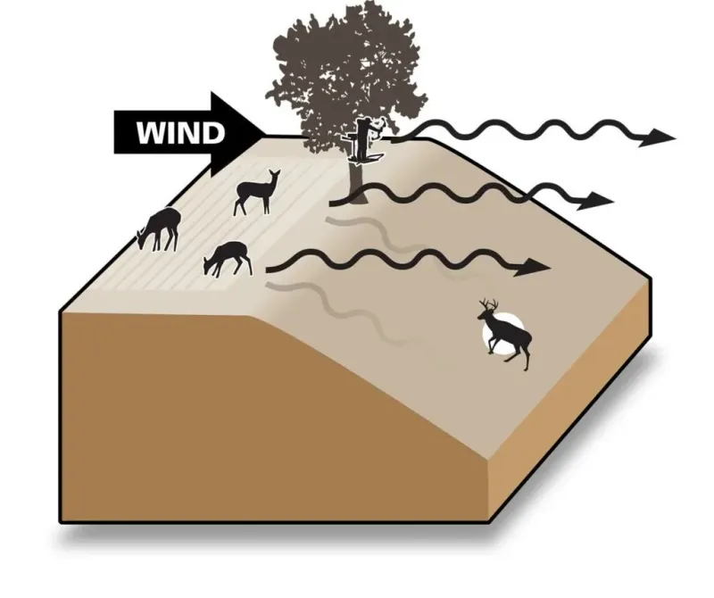 Understanding Wind Direction
