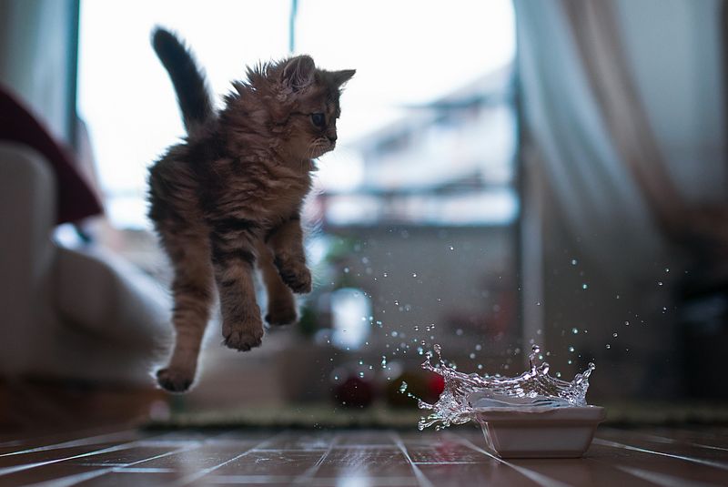 Unexpected Water