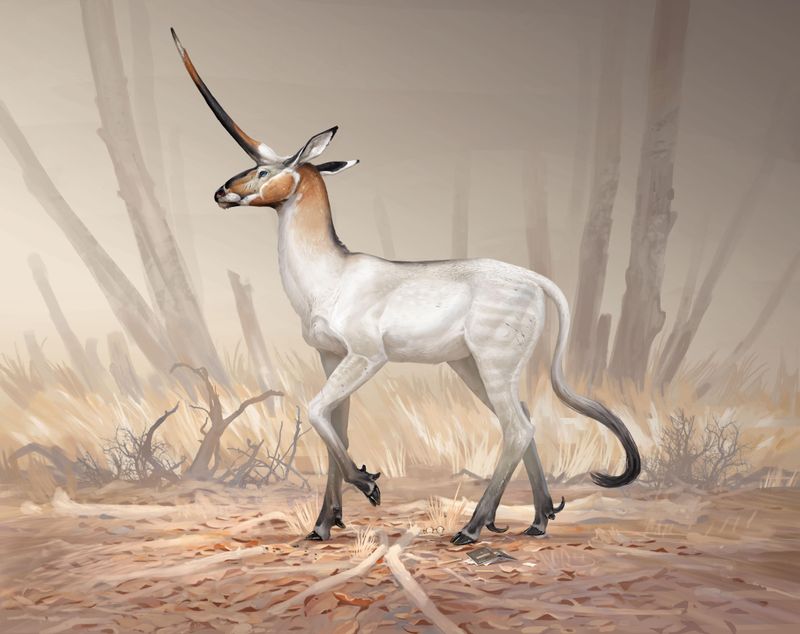 Unicorn