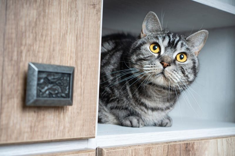 Unusual Hiding Spots