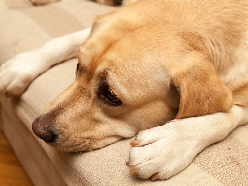 Unusual Lethargy