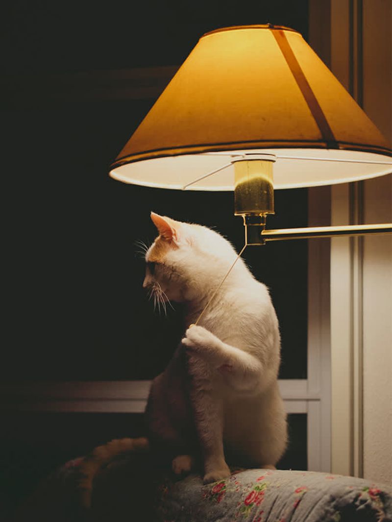 Unusual Night Activity
