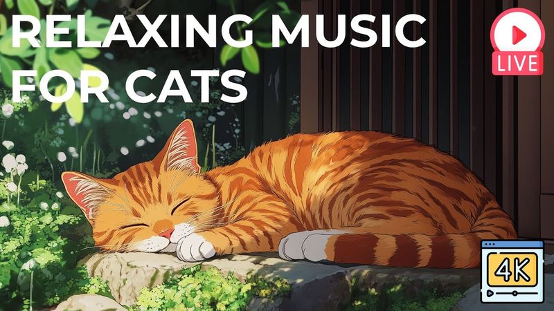 Use Calming Music or Audiobooks