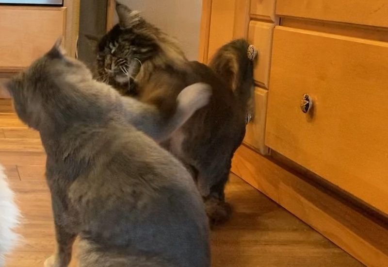 Use a Laser Pointer