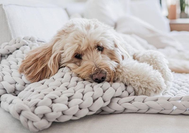 Use a Weighted Blanket
