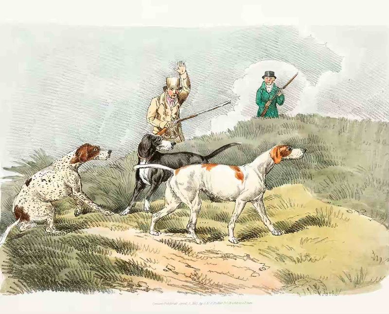 Using Dogs for Hunting