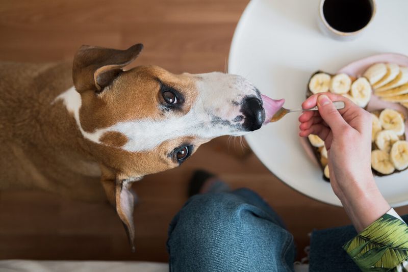 Using Food as a Bribe