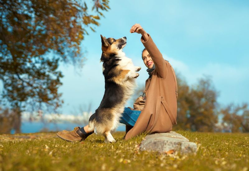 Using Positive Reinforcement