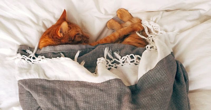 Using Your Belongings as Beds