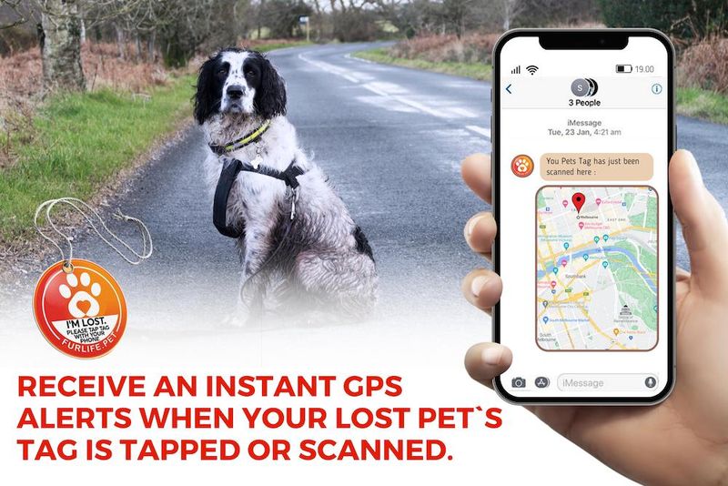 Utilize Pet Tracking Apps