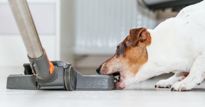 Vacuum Cleaner