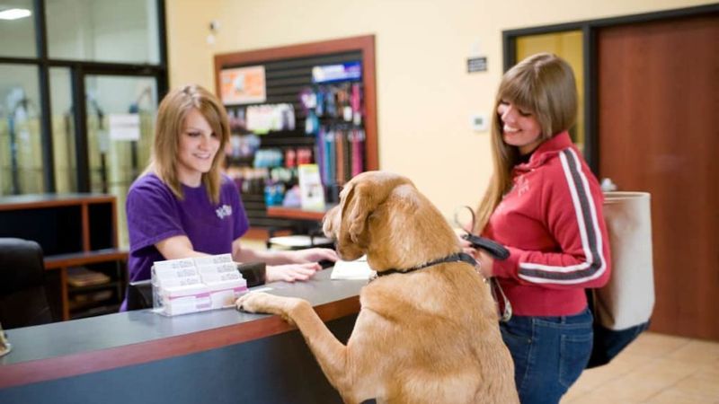 Visit the Boarding Facility