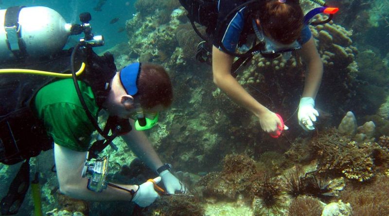 Volunteer for Marine Conservation