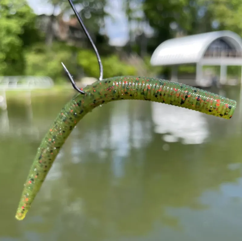 Wacky Rigging