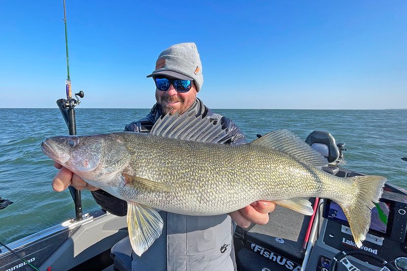 Walleye